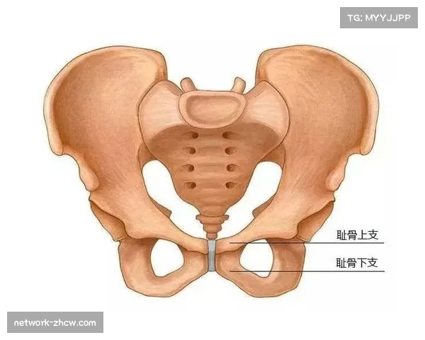 拜仁中场迈克髋关节损伤未愈 中场身体对抗能力受到影响
